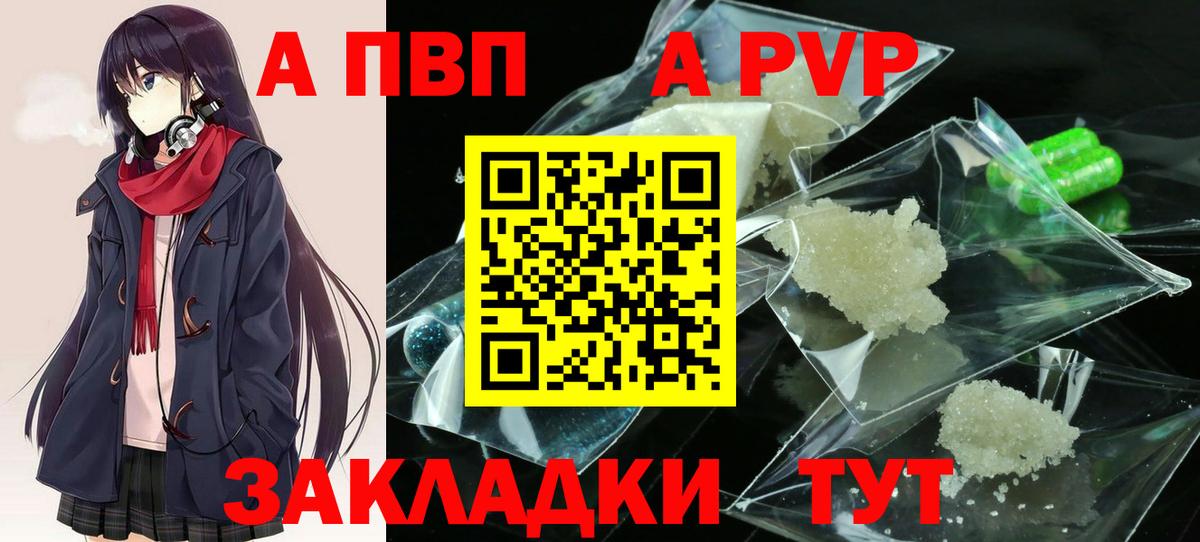 A PVP СК КРИС Урус-Мартан